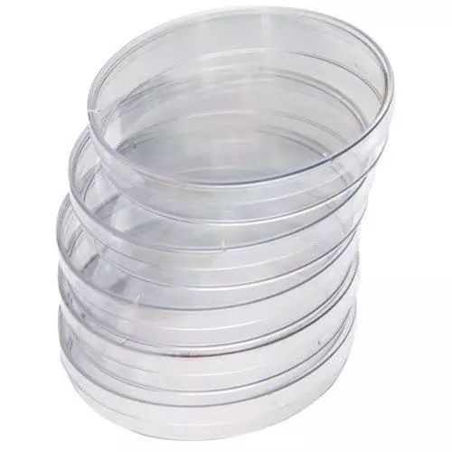 Stack of transparent plastic petri dishes on a white background